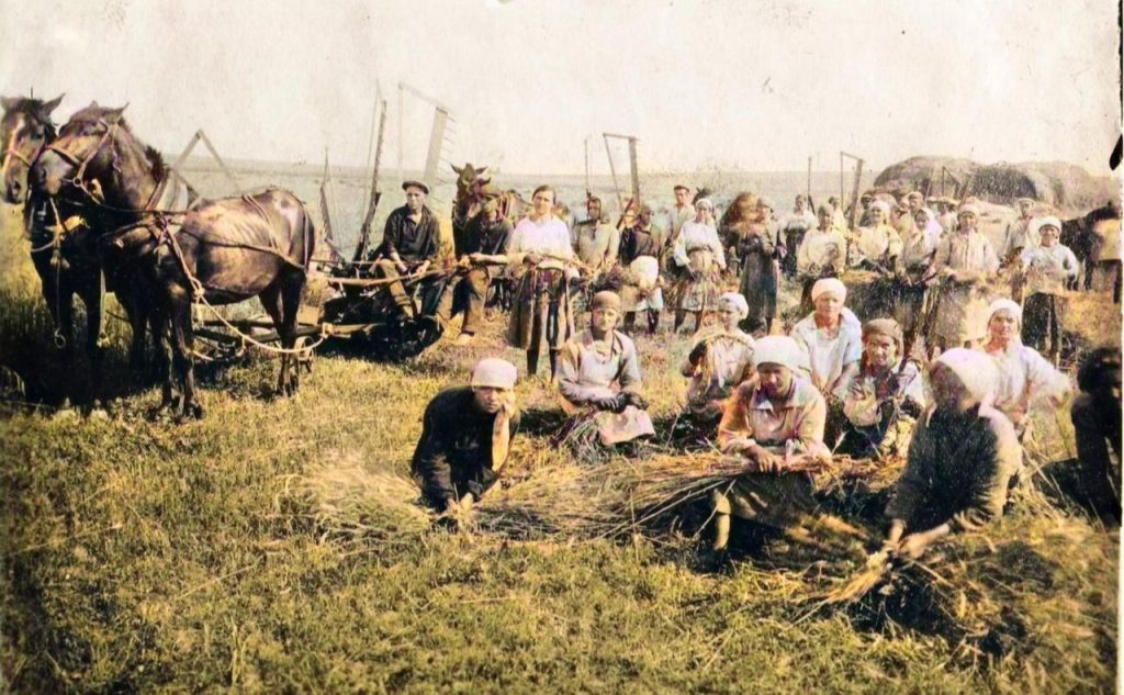 Голодомор 1932–33 років в Україні: причини, масштаби та пам’ять