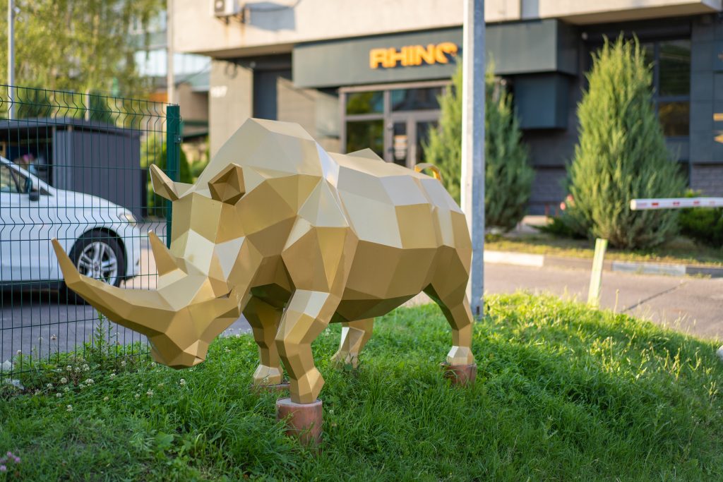 ЛОР-клініка у Києві: критерії вибору та стандарти роботи RHINO