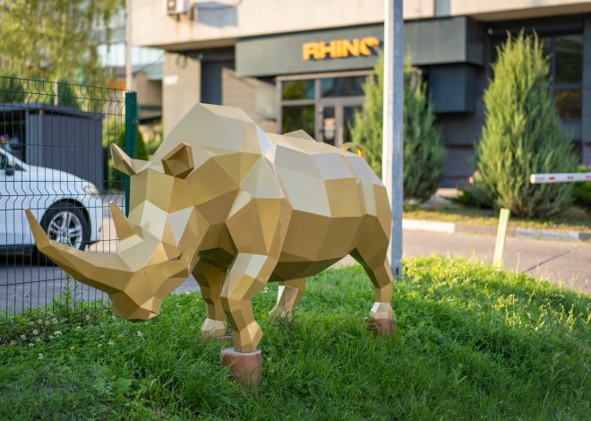 ЛОР-клініка у Києві: критерії вибору та стандарти роботи RHINO
