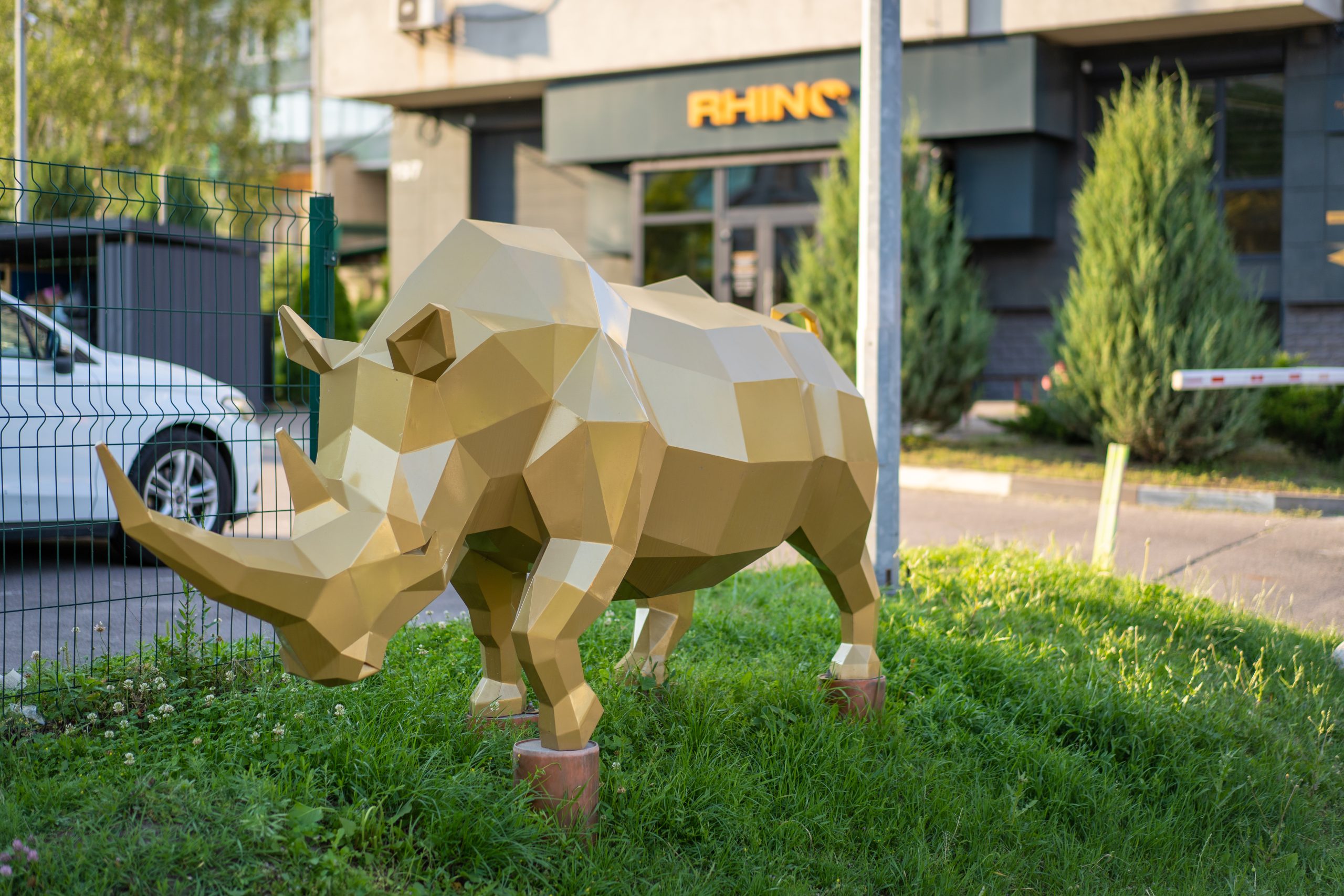 ЛОР-клініка у Києві: критерії вибору та стандарти роботи RHINO